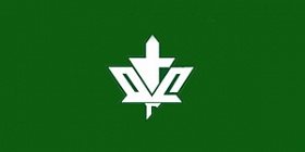 Бордюр канта 82552-З (зеленый)